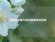 买瑜伽球提升你的瑜伽体验指南
