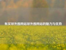 有买球外围网站球外围网站的魅力与优势