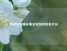 欧洲足球锦标赛买球你的首选平台