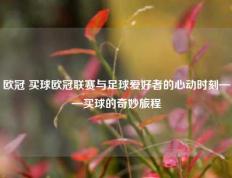 欧冠 买球欧冠联赛与足球爱好者的心动时刻——买球的奇妙旅程