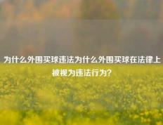 为什么外围买球违法为什么外围买球在法律上被视为违法行为？