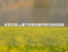 体育买球app哪个好用全面评测与选购指南