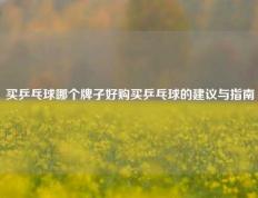 买乒乓球哪个牌子好购买乒乓球的建议与指南