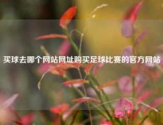 买球去哪个网站网址购买足球比赛的官方网站