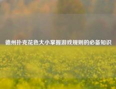 德州扑克花色大小掌握游戏规则的必备知识