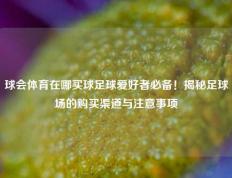 球会体育在哪买球足球爱好者必备！揭秘足球场的购买渠道与注意事项