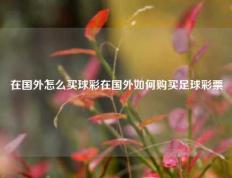 在国外怎么买球彩在国外如何购买足球彩票
