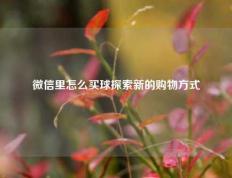 微信里怎么买球探索新的购物方式