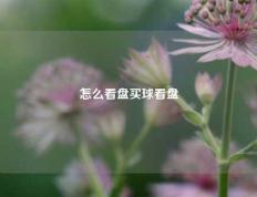 怎么看盘买球看盘