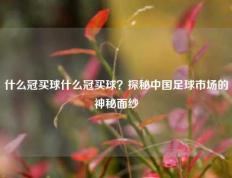什么冠买球什么冠买球？探秘中国足球市场的神秘面纱