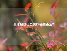 买球会赚钱么买球会赚钱么？