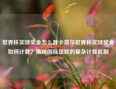 世界杯买球奖金怎么算卡塔尔世界杯买球奖金如何计算？揭秘国际足联的复杂计算机制