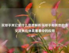 买球平其它是什么意思解析买球平和其他的含义及其在体育赛事中的应用
