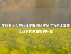 买球多少金额构成犯罪探讨买球行为的金额限度及其构成犯罪的标准