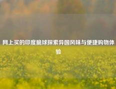 网上买的印度脆球探索异国风味与便捷购物体验
