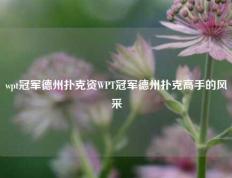 wpt冠军德州扑克资WPT冠军德州扑克高手的风采