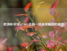 欧洲杯买球q173091咨询一场全球瞩目的盛宴