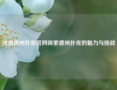 途游德州扑克官网探索德州扑克的魅力与挑战