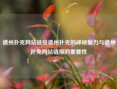 德州扑克网站链接德州扑克的神秘魅力与德州扑克网站链接的重要性