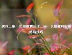 买球二串一长期盈利买球二串一长期盈利的策略与技巧