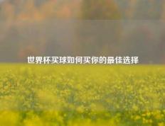世界杯买球如何买你的最佳选择