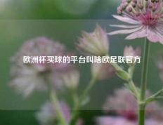 欧洲杯买球的平台叫啥欧足联官方