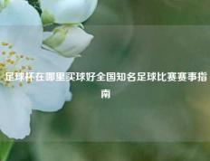 足球杯在哪里买球好全国知名足球比赛赛事指南
