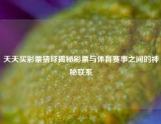 天天买彩票猜球揭秘彩票与体育赛事之间的神秘联系
