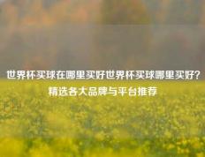 世界杯买球在哪里买好世界杯买球哪里买好？精选各大品牌与平台推荐