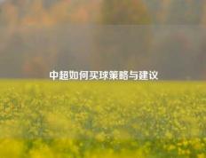 中超如何买球策略与建议