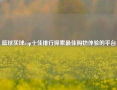 篮球买球app十佳排行探索最佳购物体验的平台