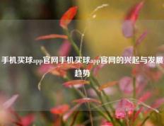手机买球app官网手机买球app官网的兴起与发展趋势