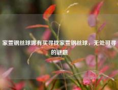 家萱钢丝球哪有买寻找家萱钢丝球，无处可寻的谜题