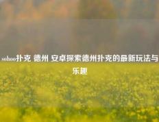 sohoo扑克 德州 安卓探索德州扑克的最新玩法与乐趣