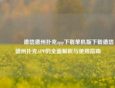 🏅德信德州扑克app下载单机版下载德信德州扑克APP的全面解析与使用指南