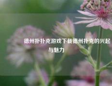 👈德州扑扑克游戏下载德州扑克的兴起与魅力