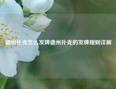 德州扑克怎么发牌德州扑克的发牌规则详解