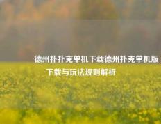 🌈德州扑扑克单机下载德州扑克单机版下载与玩法规则解析