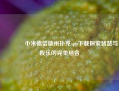 🥉小米德信德州扑克app下载探索智慧与娱乐的完美结合