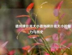 🏆德州牌扑克大小德州牌扑克大小的魅力与历史