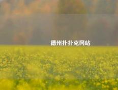 👉德州扑扑克网站