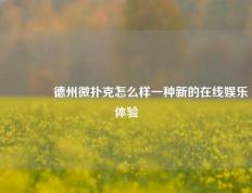 🥇德州微扑克怎么样一种新的在线娱乐体验
