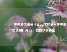 🏆天天德信德州扑克app下载抽水天天德信德州扑克app下载抽水的秘密