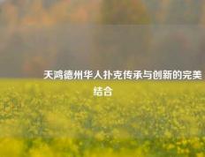🥇天鸿德州华人扑克传承与创新的完美结合