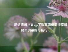 🥉德信德州扑克app下载高牌相同探索牌局中的策略与技巧