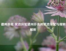 德州扑克 奖池分配德州扑克的奖池分配与规则解析