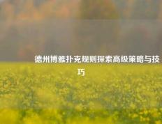 🥇德州博雅扑克规则探索高级策略与技巧