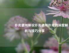 🌈扑克德州解说扑克德州扑克的深度解析与技巧分享