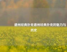 👍德州经典扑克德州经典扑克的魅力与历史