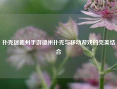 扑克迷德州手游德州扑克与移动游戏的完美结合